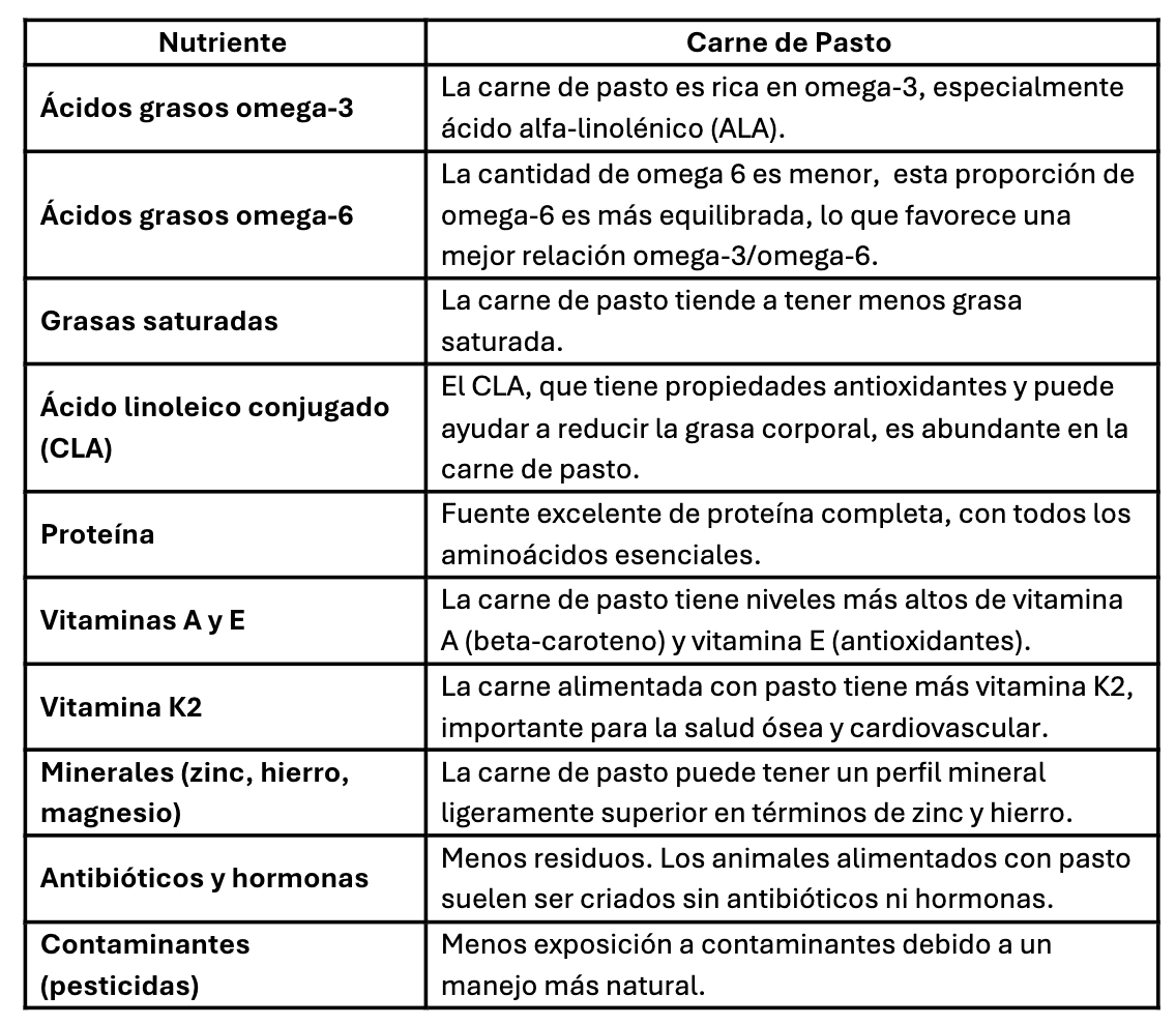 Nutrientes carne de pasto