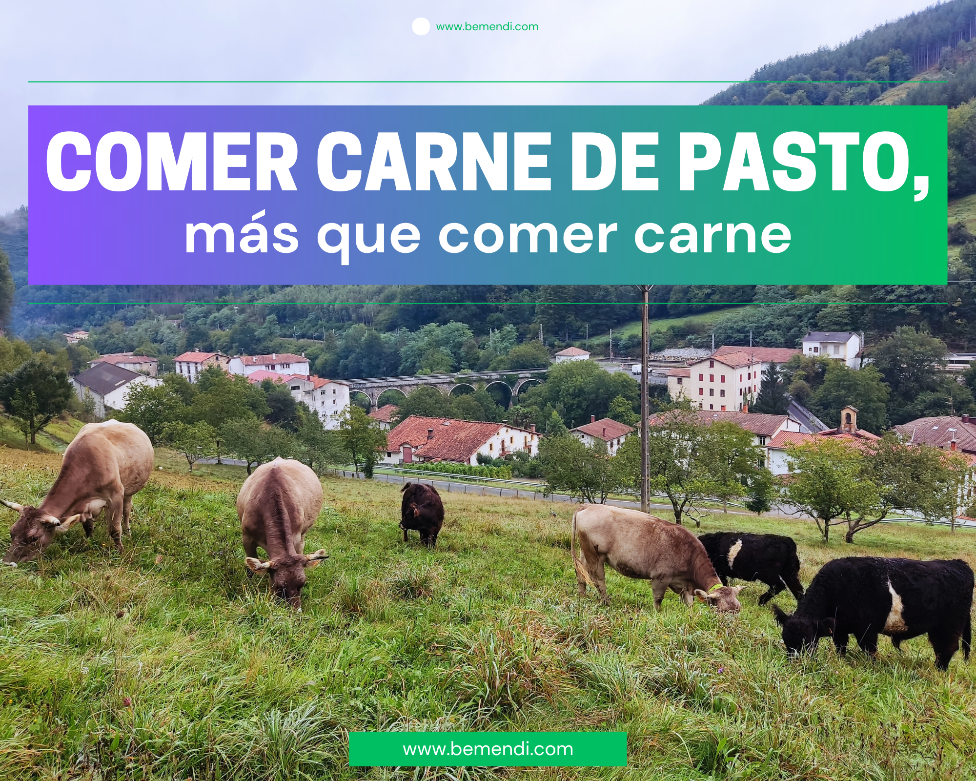 Comer carne de pasto