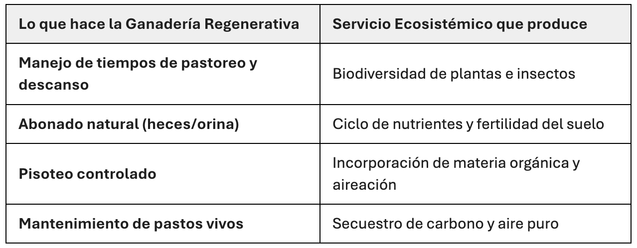 Ganadería regenerativa y servicios ecosistémicos