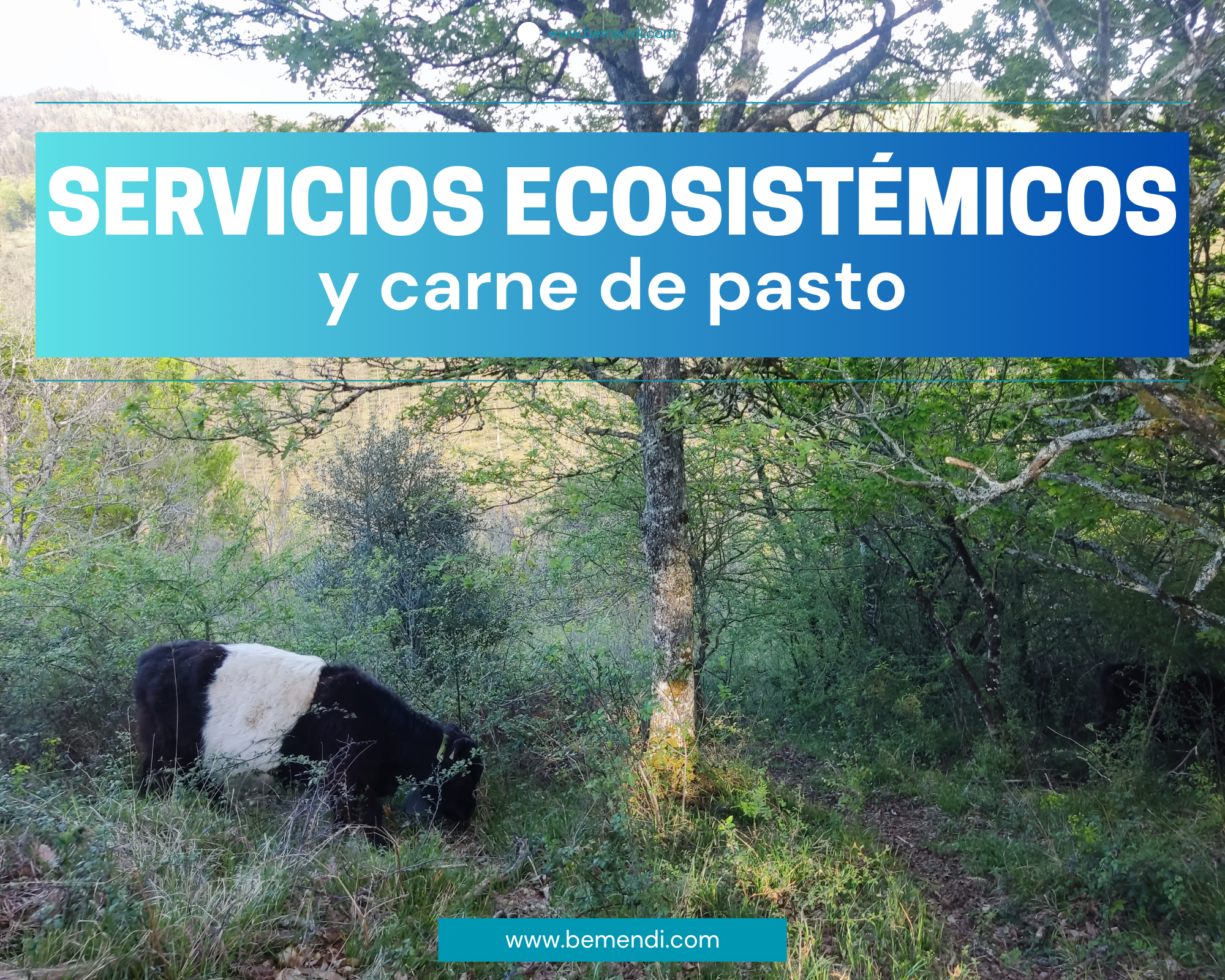 Servicios ecosistémicos y carne de pasto