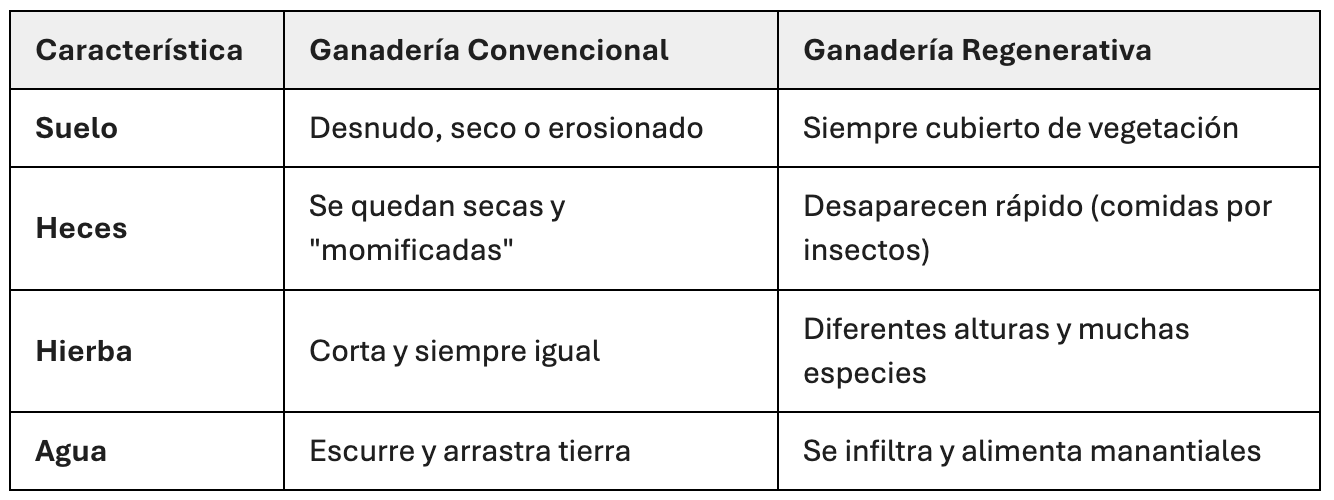 Suelo, ganadería y servicios ecosistémicos